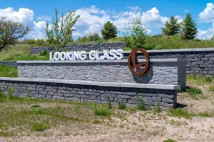 13780 Honey Hush Trl, Parker, CO 80134 - Photo 34