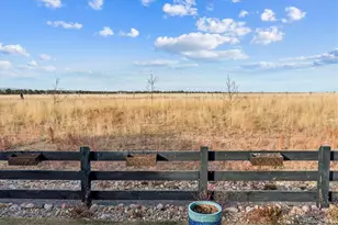 9505 Autumn Moon Ave, Littleton, CO 80125 - Photo 30