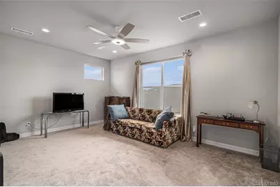 255 Rogers Court, Castle Rock, CO 80104 - Photo 8