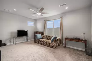 255 Rogers Ct, Castle Rock, CO 80104 - Photo 8