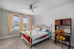 255 Rogers Ct, Castle Rock, CO 80104 - Photo 14