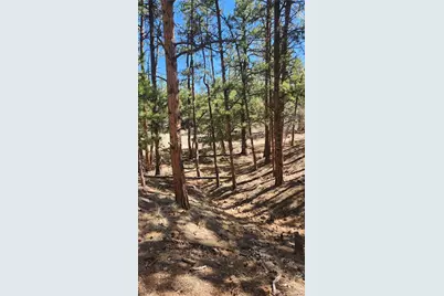 Tbd L 10th Trail, Cotopaxi, CO 81223 - Photo 20