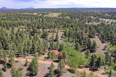 63 Star View Trail, Divide, CO 80814 - Photo 46