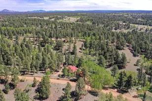 63 Star View Trail, Divide, CO 80814 - Photo 46