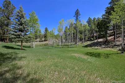 63 Star View Trail, Divide, CO 80814 - Photo 4