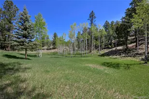 63 Star View Trail, Divide, CO 80814 - Photo 4