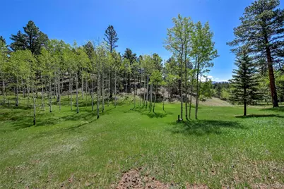 63 Star View Trail, Divide, CO 80814 - Photo 2