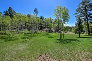 63 Star View Trail, Divide, CO 80814 - Photo 2