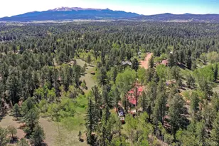 63 Star View Trail, Divide, CO 80814 - Photo 40