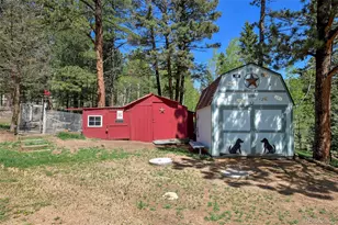 63 Star View Trail, Divide, CO 80814 - Photo 34