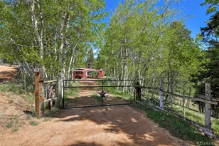 63 Star View Trail, Divide, CO 80814 - Photo 30