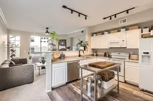 1630 Egret Way, Superior, CO 80027 - Photo 10