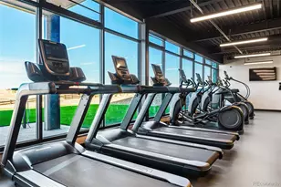 4285 Ridgewalk Pt, Castle Rock, CO 80108 - Photo 38