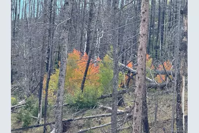 833 Huntington Lane, Fort Garland, CO 81133 - Photo 22