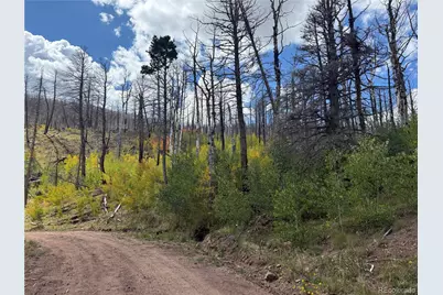 833 Huntington Lane, Fort Garland, CO 81133 - Photo 18