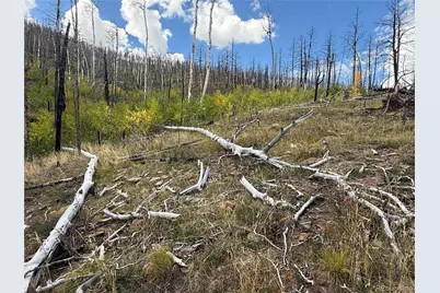 833 Huntington Lane, Fort Garland, CO 81133 - Photo 12