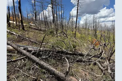 833 Huntington Lane, Fort Garland, CO 81133 - Photo 20