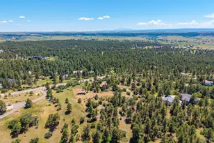 8223 Burning Tree Dr, Franktown, CO 80116 - Photo 50