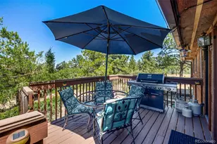 8223 Burning Tree Dr, Franktown, CO 80116 - Photo 26