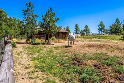 8223 Burning Tree Drive, Franktown, CO 80116 - Photo 34