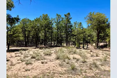 745 N Cliffwood, Crestone, CO 81131 - Photo 18