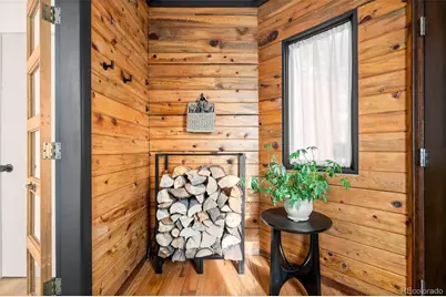 236 Summit Drive, Bailey, CO 80421 - Photo 8