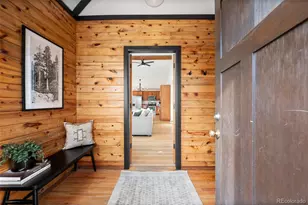 236 Summit Dr, Bailey, CO 80421 - Photo 6