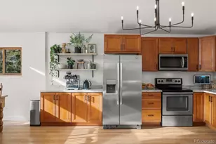 236 Summit Dr, Bailey, CO 80421 - Photo 16