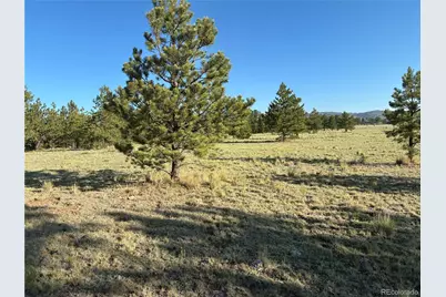 000 Doe Valley Road, Guffey, CO 80820 - Photo 18