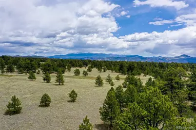 000 Doe Valley Road, Guffey, CO 80820 - Photo 6