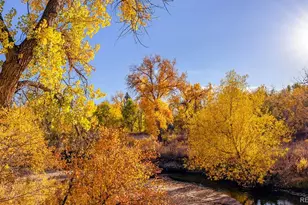 1350 S Chester St, Denver, CO 80247 - Photo 14