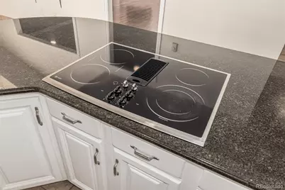 2424 S Jasmine Street, Denver, CO 80222 - Photo 16