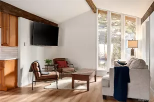 29176 Little Big Horn Dr, Evergreen, CO 80439 - Photo 14