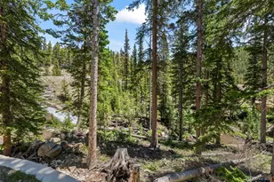 46 Silver Creek Rd, Idaho Springs, CO 80452 - Photo 30