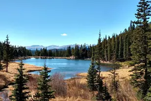 46 Silver Creek Rd, Idaho Springs, CO 80452 - Photo 36