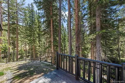 46 Silver Creek Road, Idaho Springs, CO 80452 - Photo 28