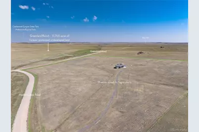 11100 Haskel Creek Road, Larkspur, CO 80118 - Photo 44