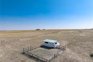 11100 Haskel Creek Rd, Larkspur, CO 80118 - Photo 38