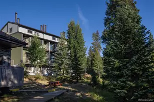 10000 Ryan Gulch Rd, Silverthorne, CO 80498 - Photo 18
