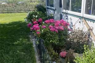 58590 Pe 3/10 Rd, Collbran, CO 81624 - Photo 40