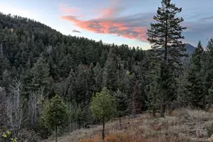 10197 Crest View Dr, Morrison, CO 80465 - Photo 6