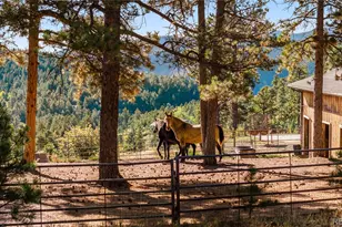 60 W Ranch Trl, Morrison, CO 80465 - Photo 40
