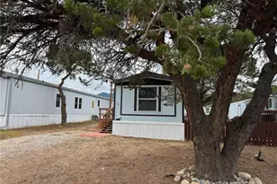 29600 County Road 353, Buena Vista, CO 81211 - Photo 2