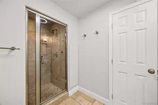 10528 Applebrook Cir, Highlands Ranch, CO 80130 - Photo 42