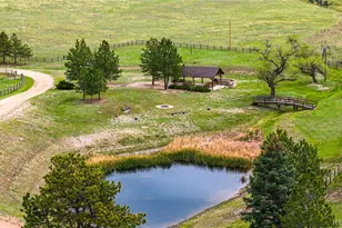 3282 Tomah Rd, Larkspur, CO 80118 - Photo 10