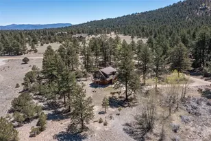 16602 Co Rd 289, Nathrop, CO 81236 - Photo 40