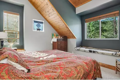 16602 County Road 289, Nathrop, CO 81236 - Photo 20