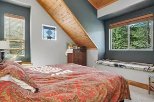 16602 Co Rd 289, Nathrop, CO 81236 - Photo 20