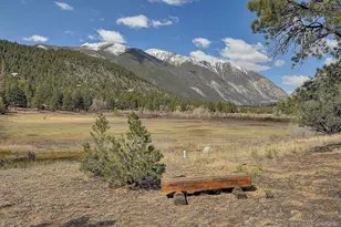16602 Co Rd 289, Nathrop, CO 81236 - Photo 38