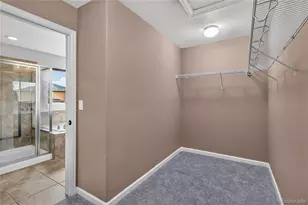 493 Sudbury St, Castle Rock, CO 80104 - Photo 30
